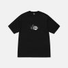 Mosaic Dragon Tee Pigment Dyed